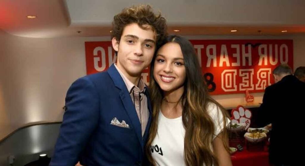 olivia rodrigo brother