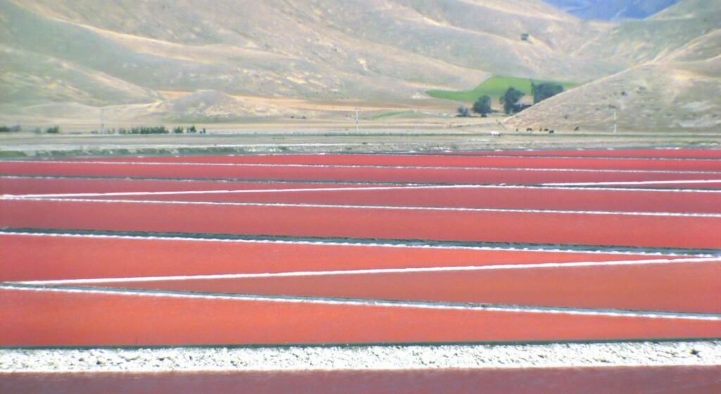 salinas rosas