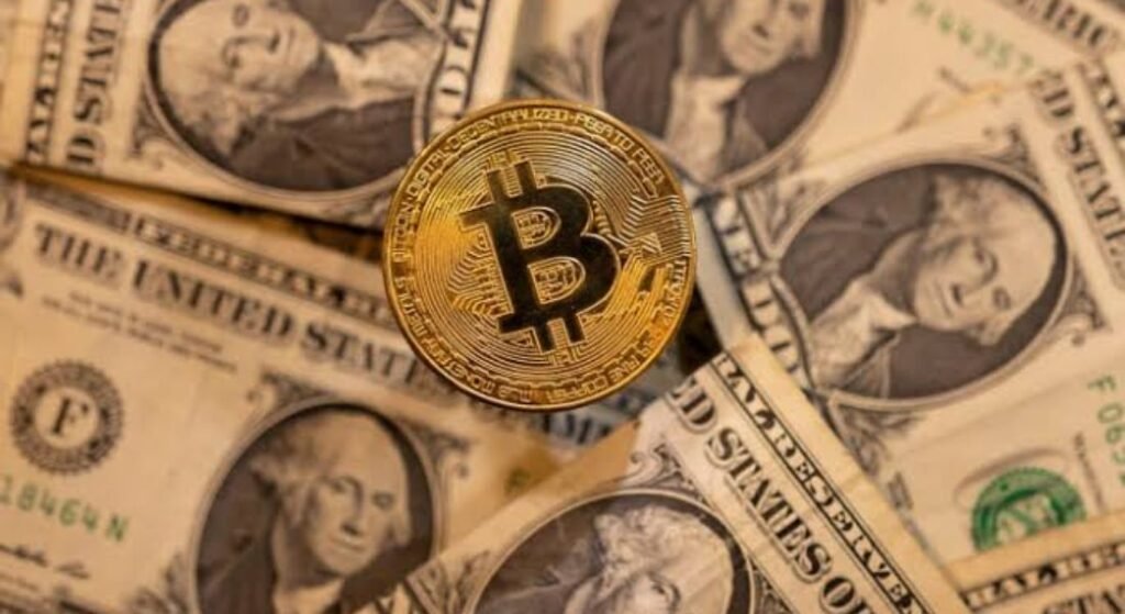 who owns the most Bitcoin